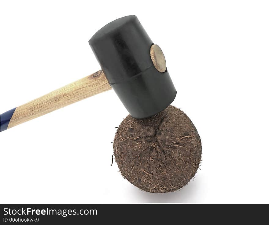 Process, preparations of food from a coconut through a hammer, object on a white background. Process, preparations of food from a coconut through a hammer, object on a white background.