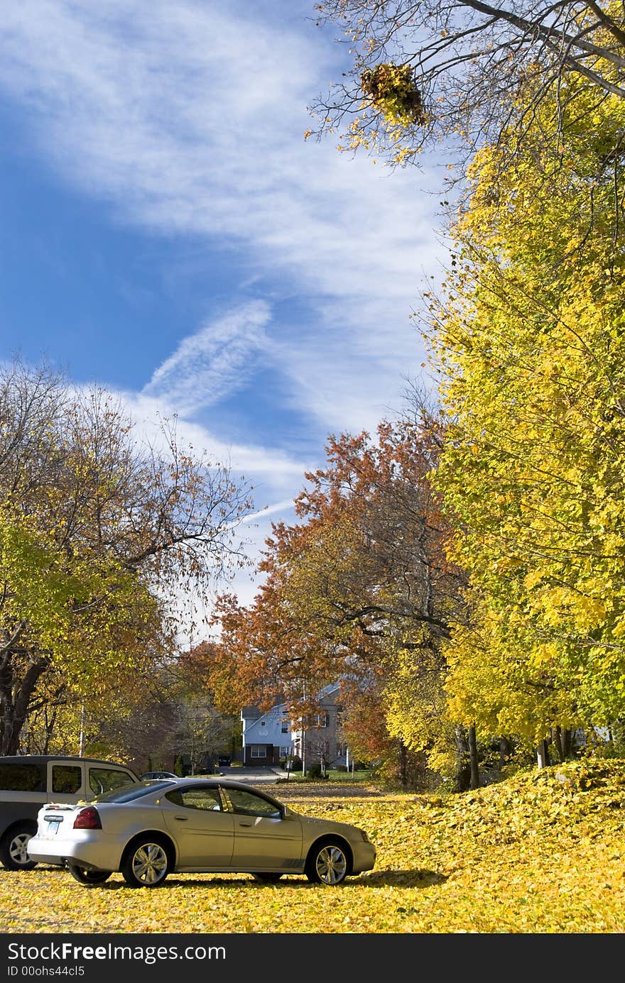 Autumn Scene, Fall colors. A parking lot covered in yellow leaves. A bird's nest in upper right corner. Autumn Scene, Fall colors. A parking lot covered in yellow leaves. A bird's nest in upper right corner.