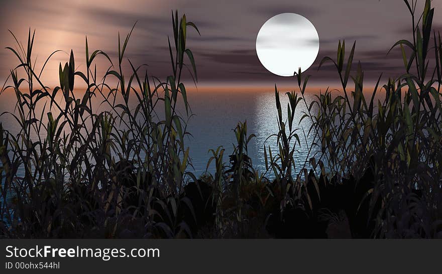 Water plants on a sea sunset  background  -  3D scene. Water plants on a sea sunset  background  -  3D scene.