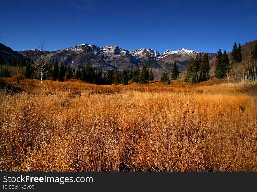 High mountain flat wit snow capped mountains and golden grass. High mountain flat wit snow capped mountains and golden grass