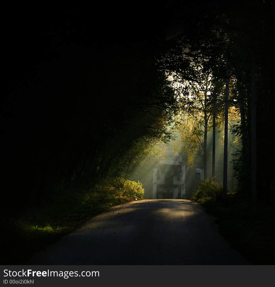 The morning fog, beams of the sun shine(cover) the old house, through a dark wood