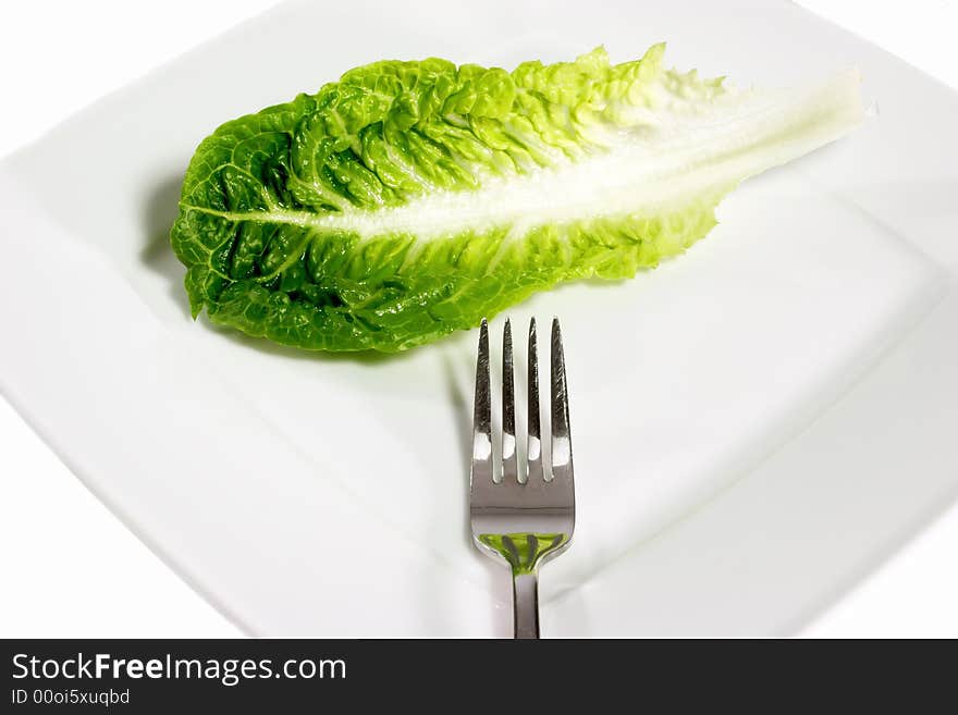 Leaf of salad on dishware with white background