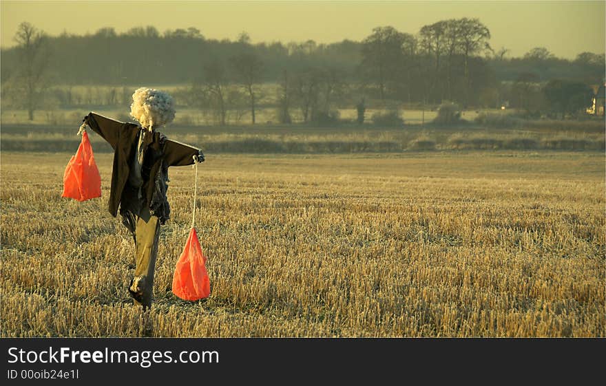 Scarecrow in early morning sunlight