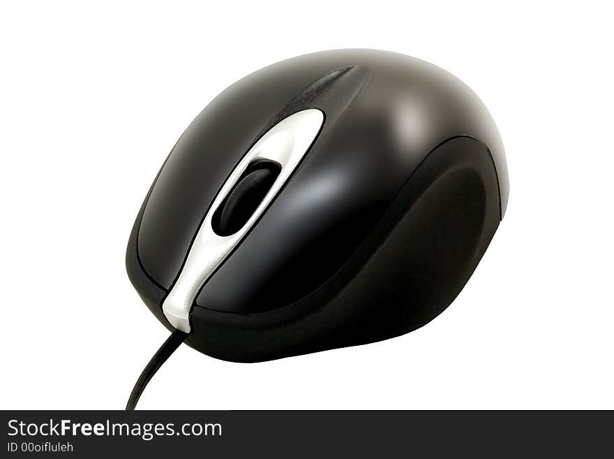 The computer mouse black