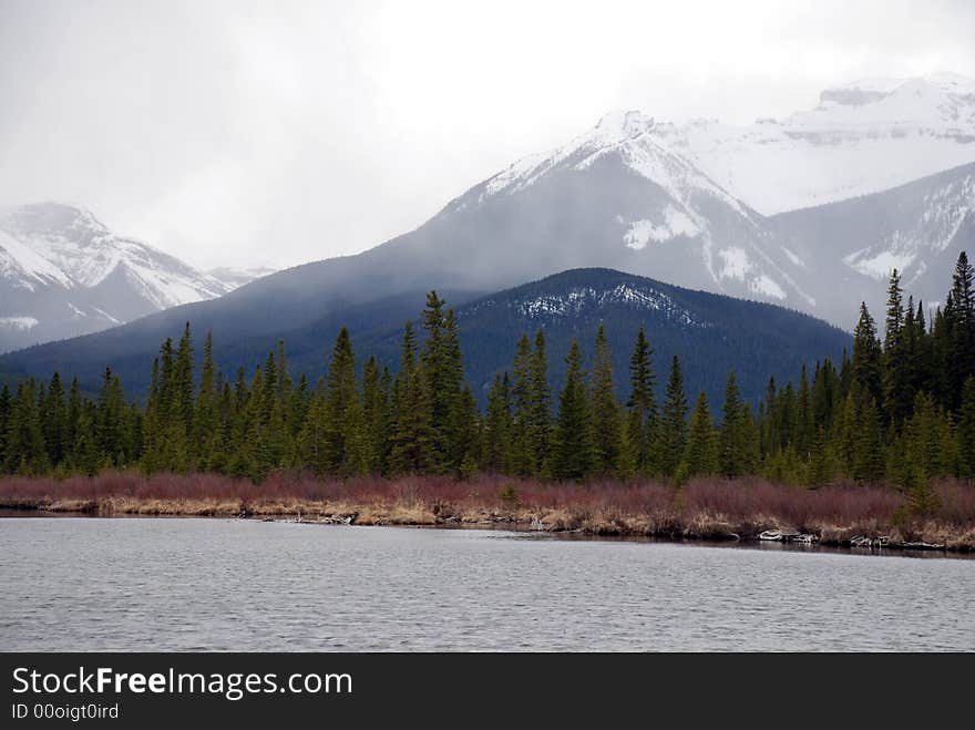 Alpine forest surounding a lake in the mountains. Alpine forest surounding a lake in the mountains.