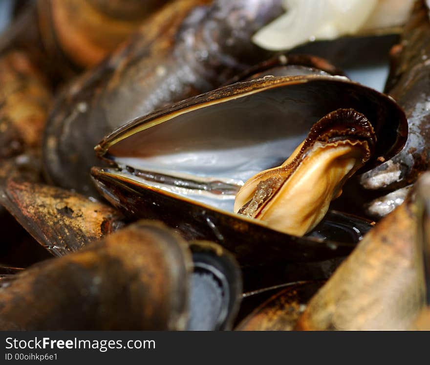 Close up image of a bowl of Mussels