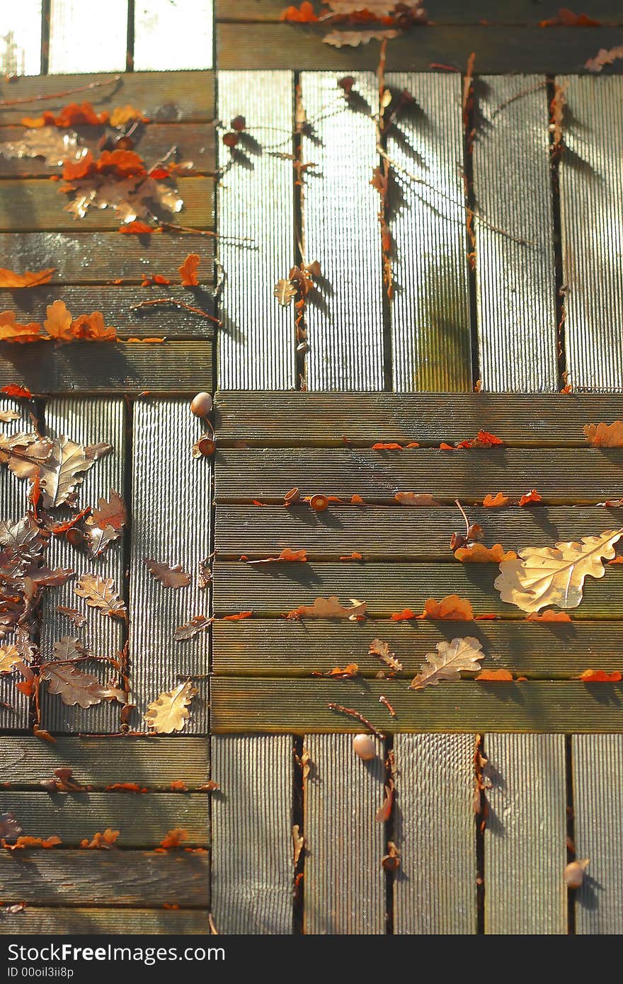 Leaves of oak and nipples on wooden Duck-boards