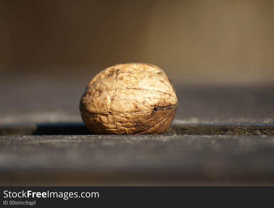 A lonely walnut left on a table in winter light.