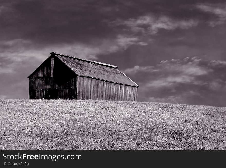 Kentucky Horse Barn