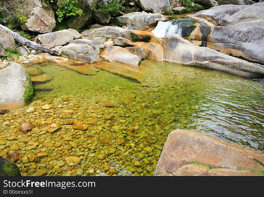 Forest River