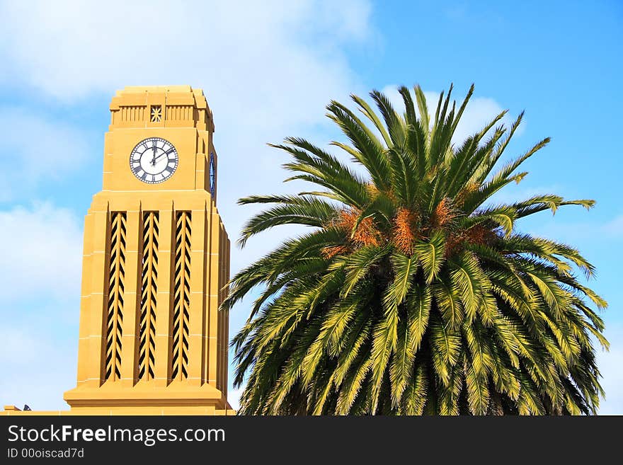 Clock Tower And Tree In New Zealand