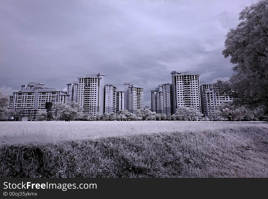 Infrared photo – modern building and tree