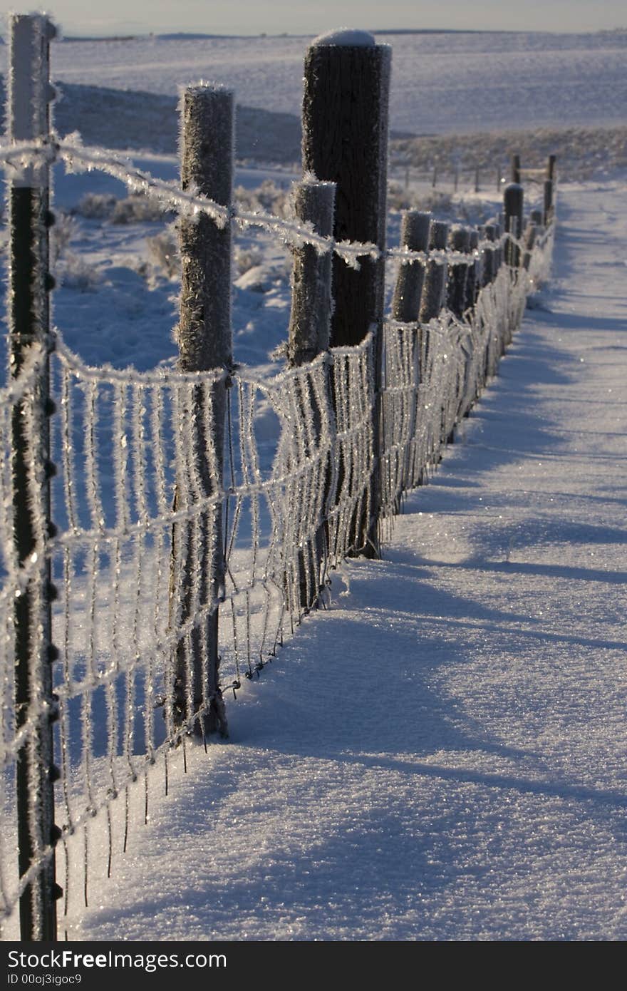 Frozen Fence