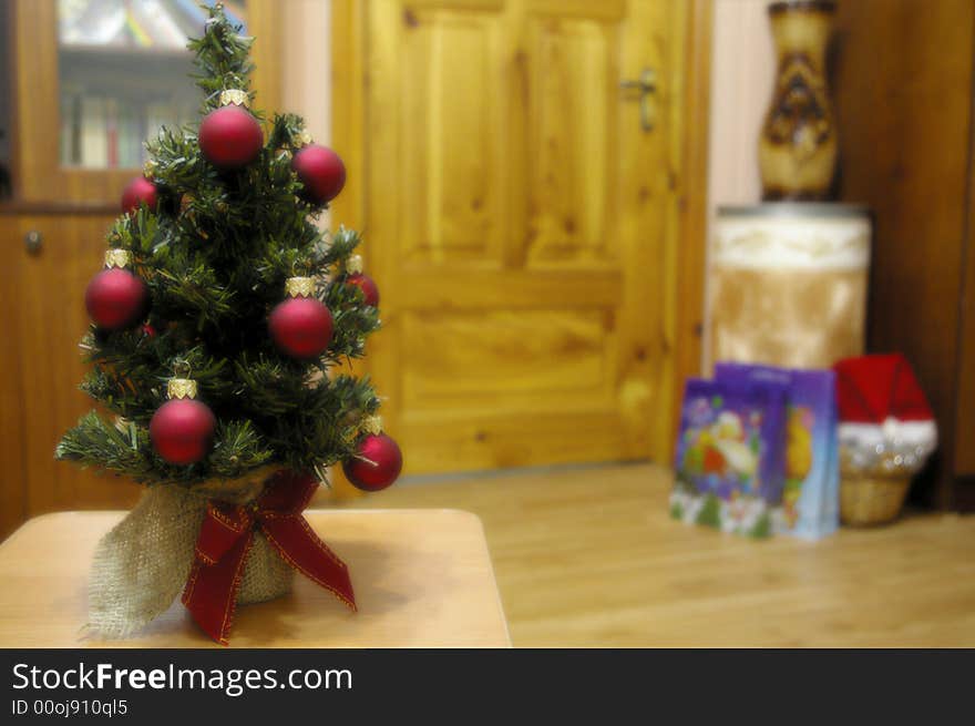 Fir tree in the room