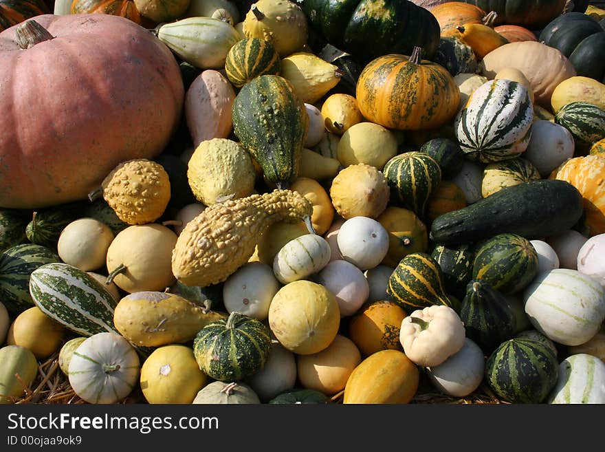 Pumpkins