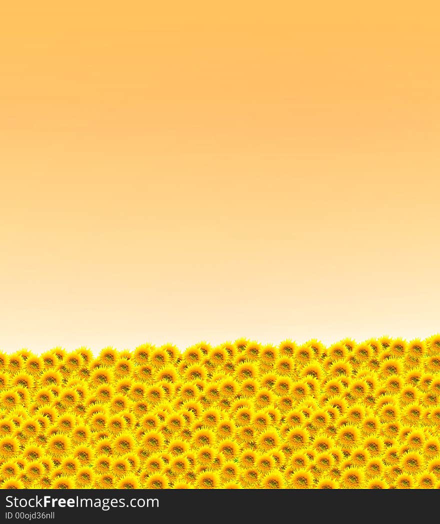 Simple beautiful horizon background with a lot of daisies and an orange background. Simple beautiful horizon background with a lot of daisies and an orange background.