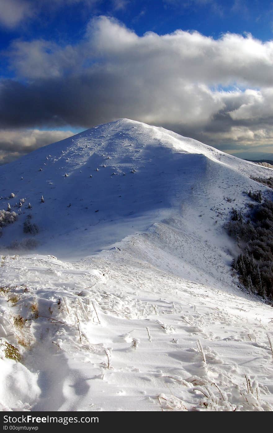 Winter In Mountain