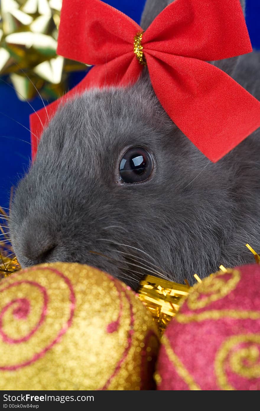 Grey bunny and christmas decoration and a big blue gift box. Grey bunny and christmas decoration and a big blue gift box