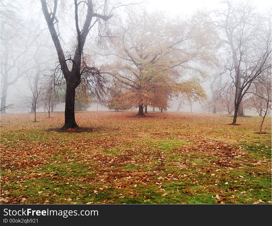 Colorful Misty Morning.