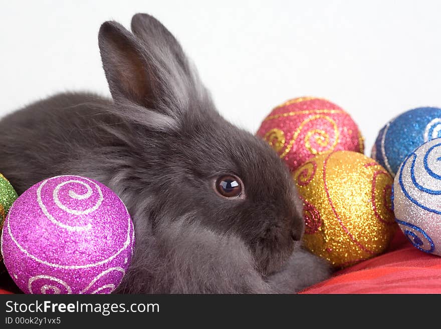 Grey bunny in an gift box and christmas decorations. Grey bunny in an gift box and christmas decorations