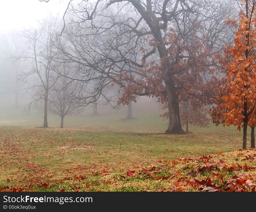 Colorful Misty Morning.