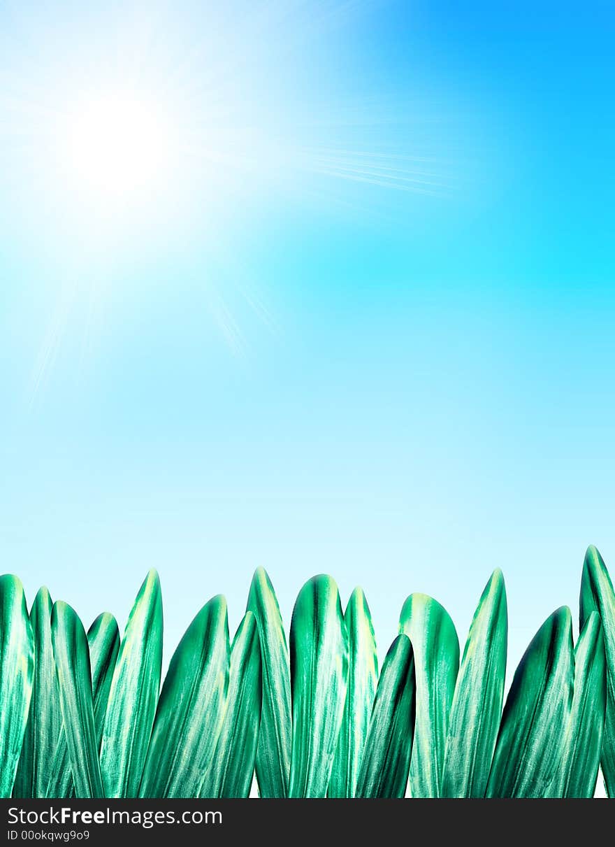 Summer background with grass