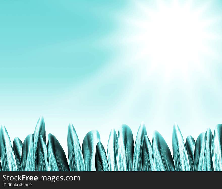 Summer background with grass