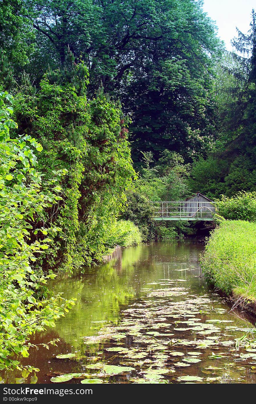 French garden.