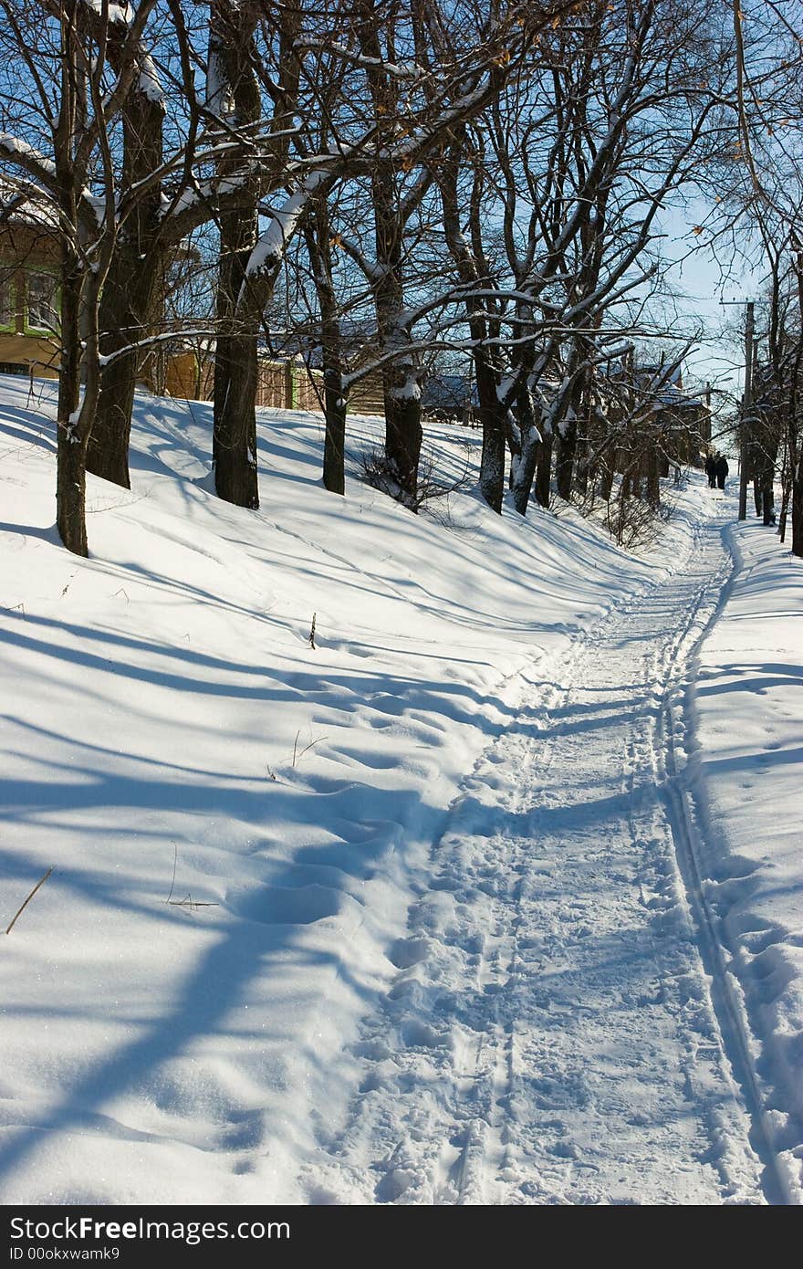 The shadow of the tree on the winter pathway. The shadow of the tree on the winter pathway