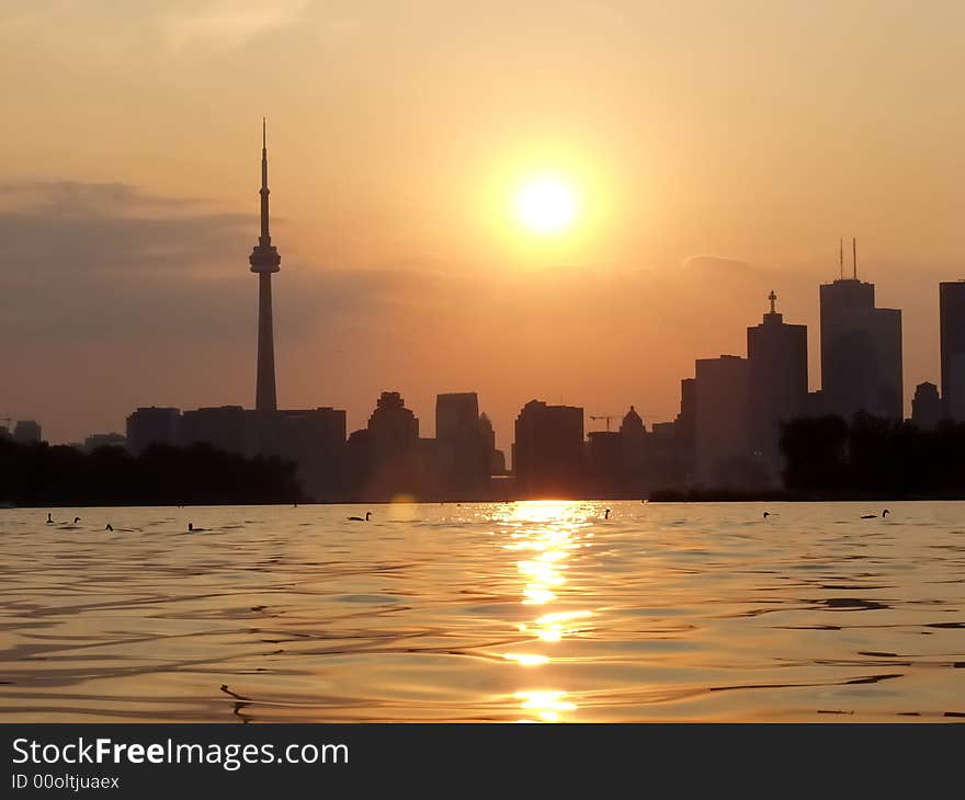 Sunset Lake view of downtown Toronto with swimming geese