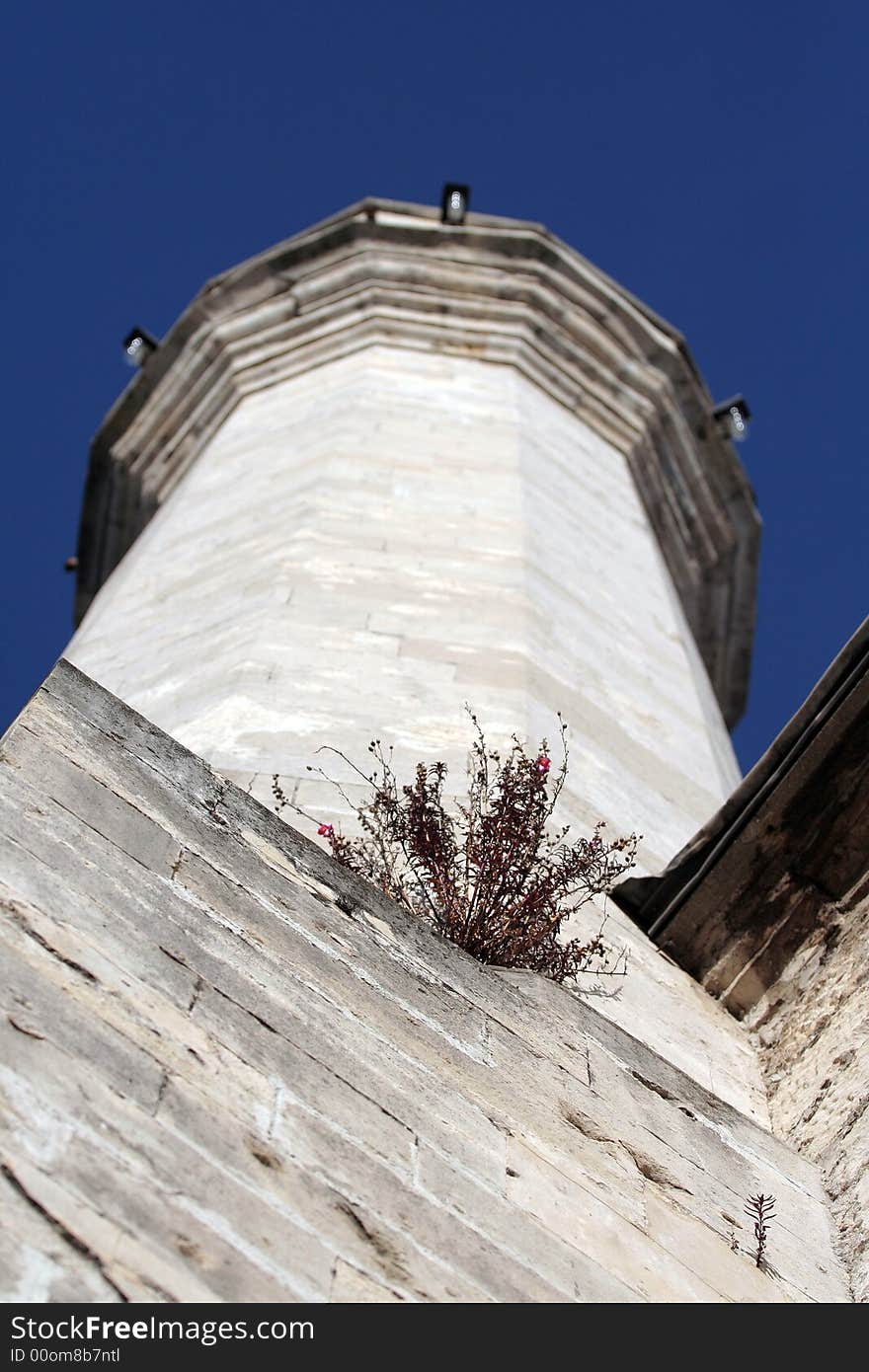 Flowers on minaret under the blue sky