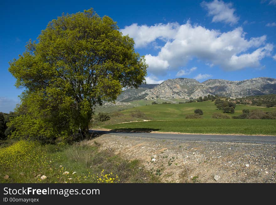 Mountain road