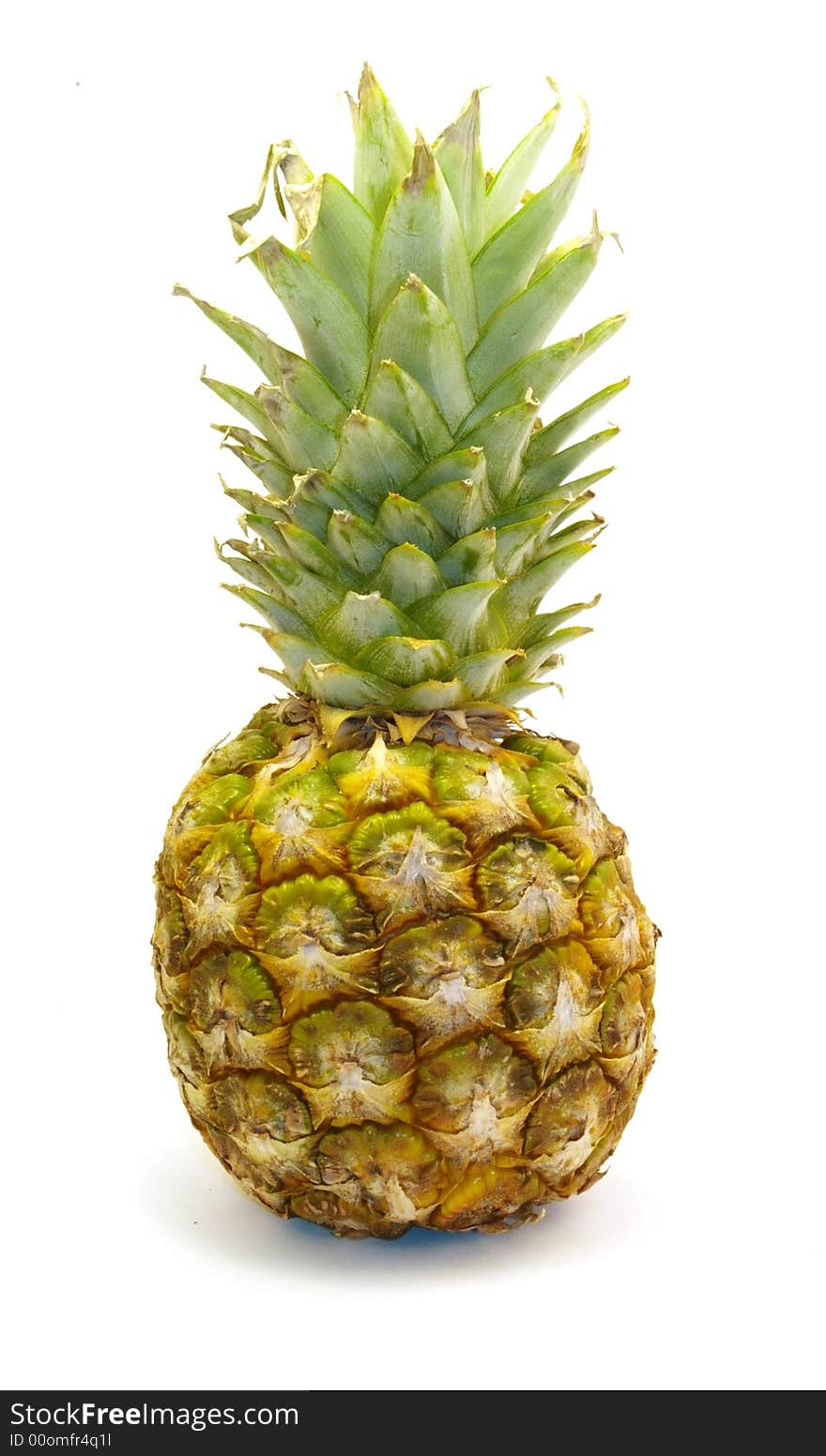 Single pineapple