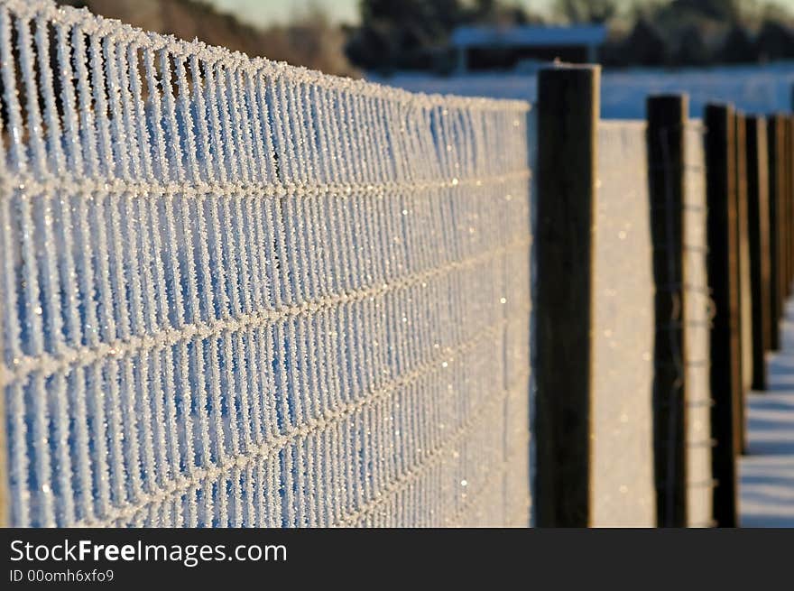 Fence covered in ice on early winter morning. Fence covered in ice on early winter morning.