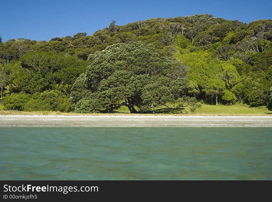 Beach Inviting To Spend Vacation