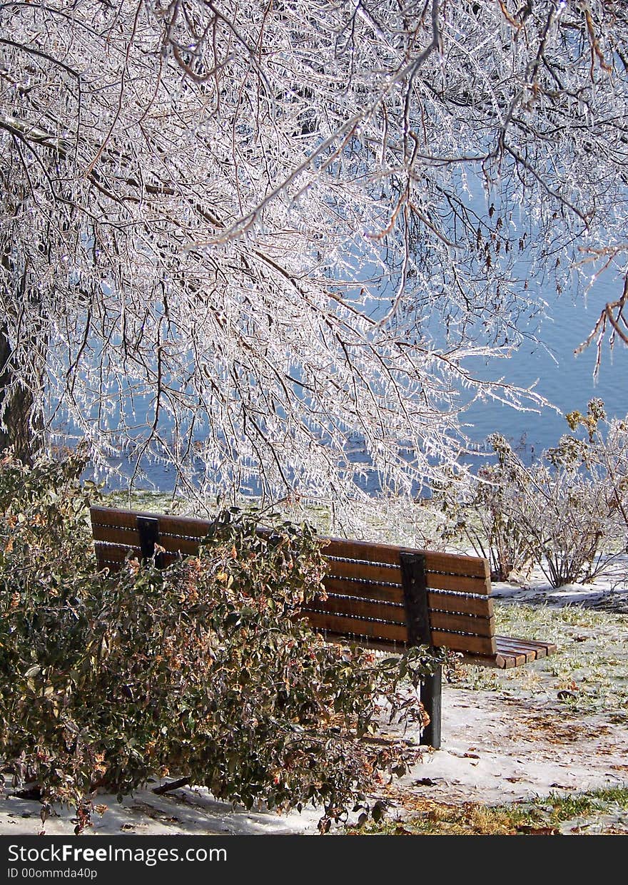 Bench In Ice