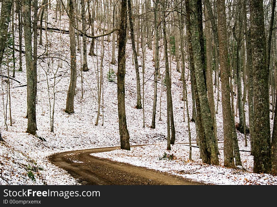 First Dusting Of Snow