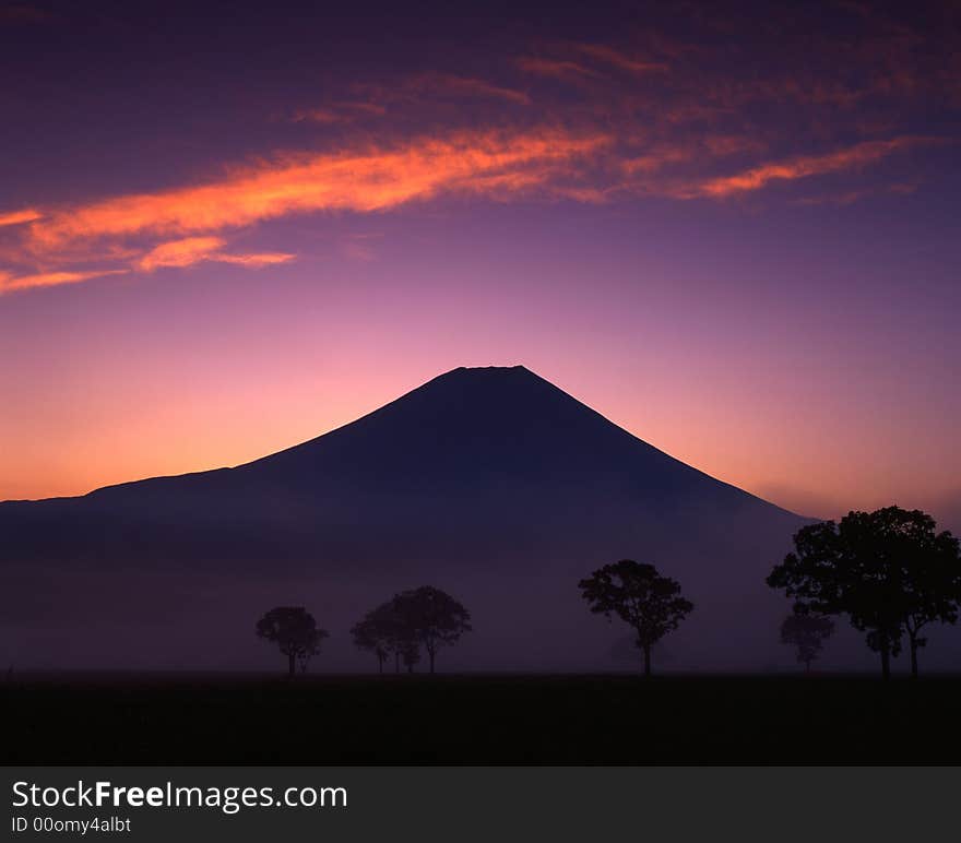 Mt. Fuji with trees before the sunrise. Mt. Fuji with trees before the sunrise