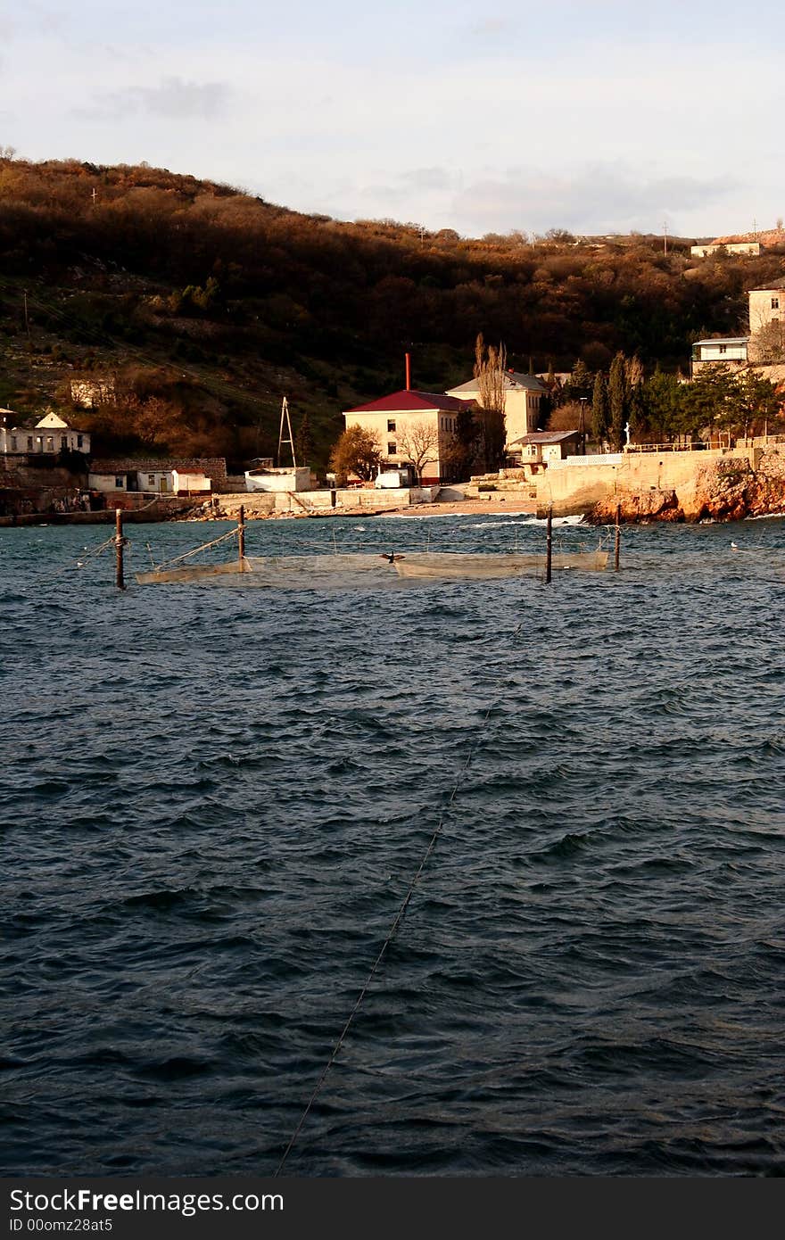 Wave in Crimea