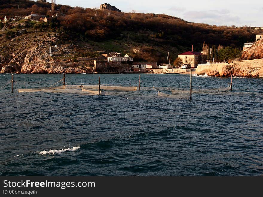 Wave in Crimea