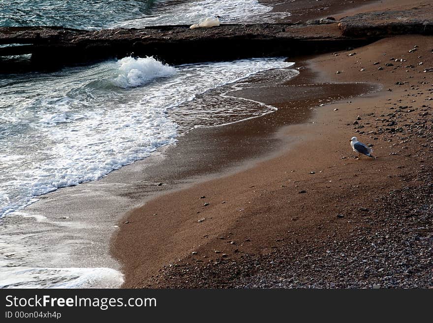 Wave In Crimea