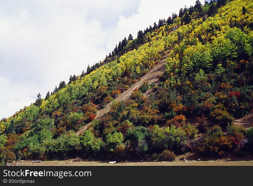 Colorful Mountain