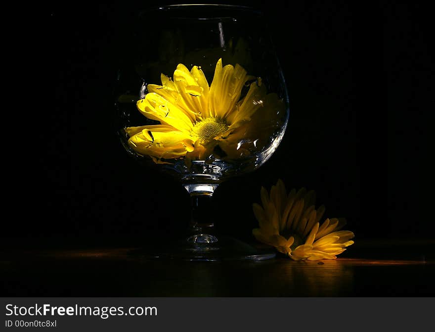 Yellow flower in the glass. Yellow flower in the glass