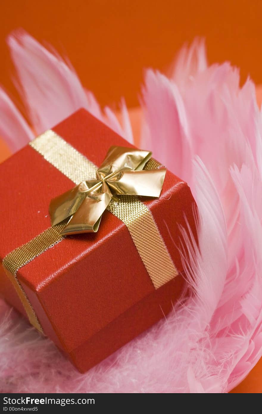 Red gift box on pink feather