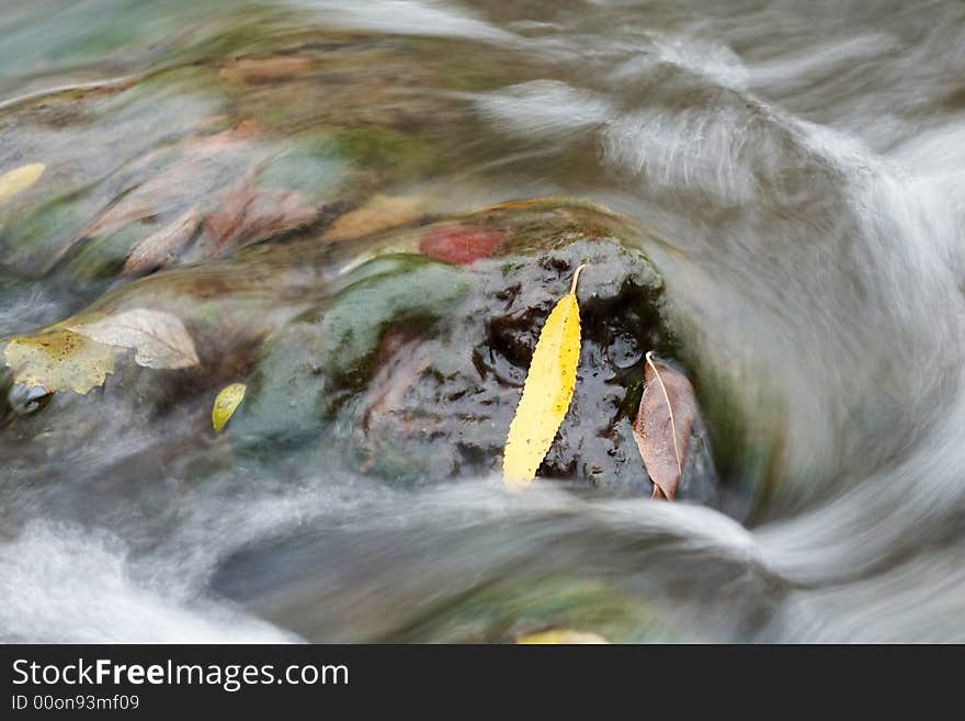 Amongst a river