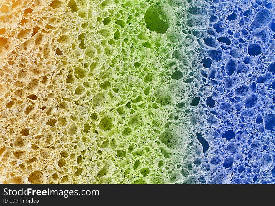 Colorful Sponge In Closeup