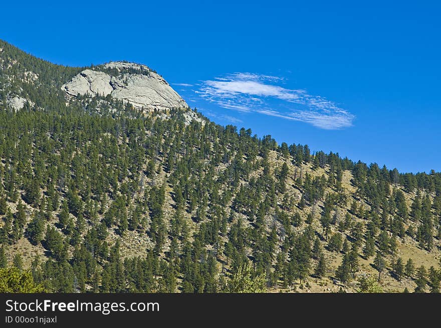 A hillside in Rocky Mountain National Park. A hillside in Rocky Mountain National Park