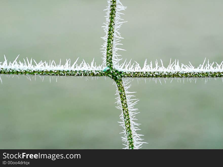 Frosted net