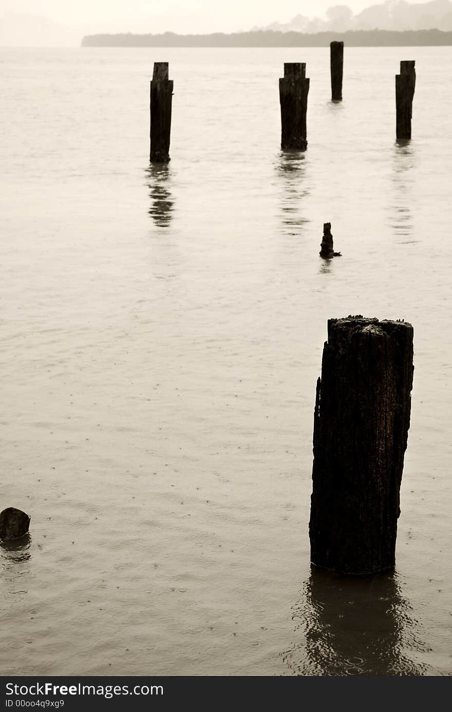 Old Wharf posts in harbour