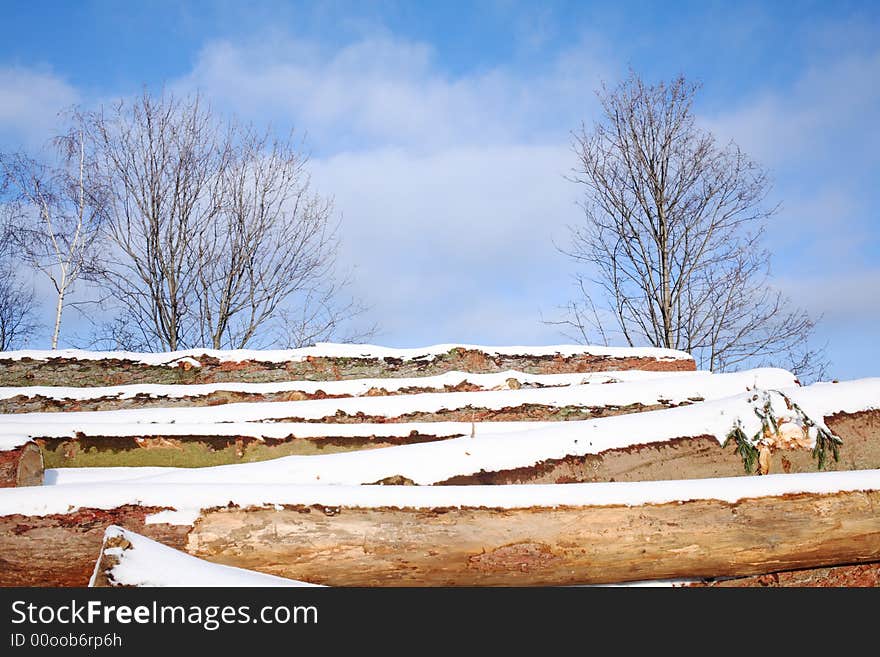 Snow covered stack of wood